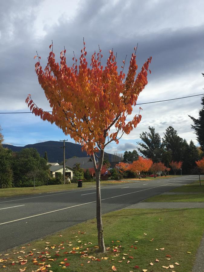 Bed and Breakfast Shakespeare House Te Anau Exterior foto